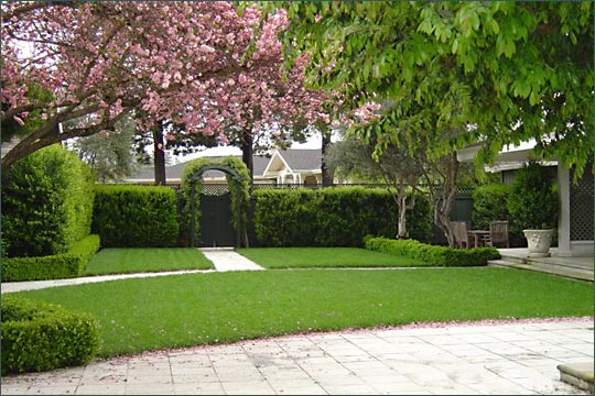 Don John Landscaping Photo