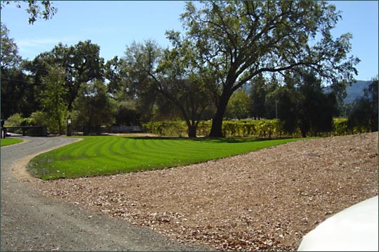 Don John Landscaping Photo