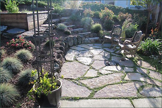 Don John Landscaping Portfolio