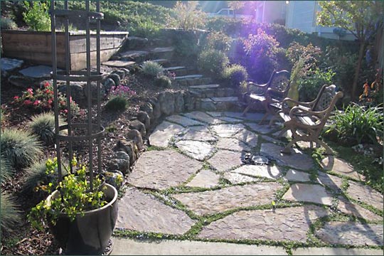 Don John Landscaping Portfolio