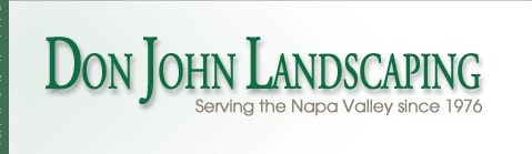 Don John Landscaping